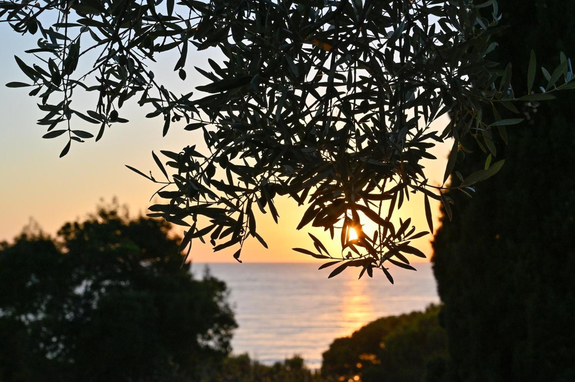 Albeca Boutique Hotel - Relais De Charme Sul Mare กัสเตลลาบาเต ภายนอก รูปภาพ