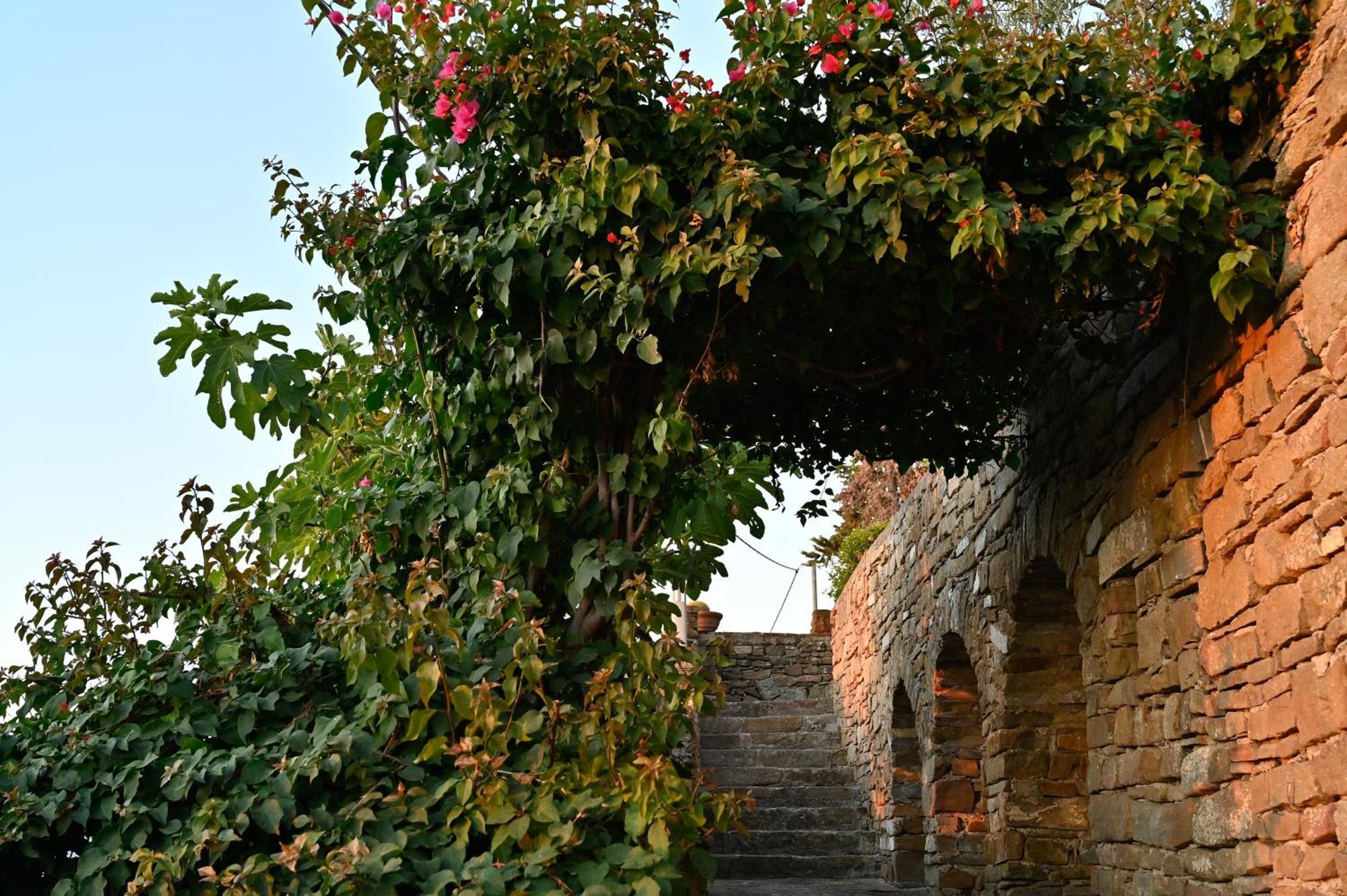 Albeca Boutique Hotel - Relais De Charme Sul Mare กัสเตลลาบาเต ภายนอก รูปภาพ